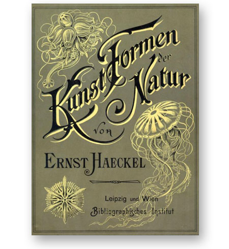 Art-forms-of-nature-Ernst-Haeckll-bibliotheque-index-grafik
